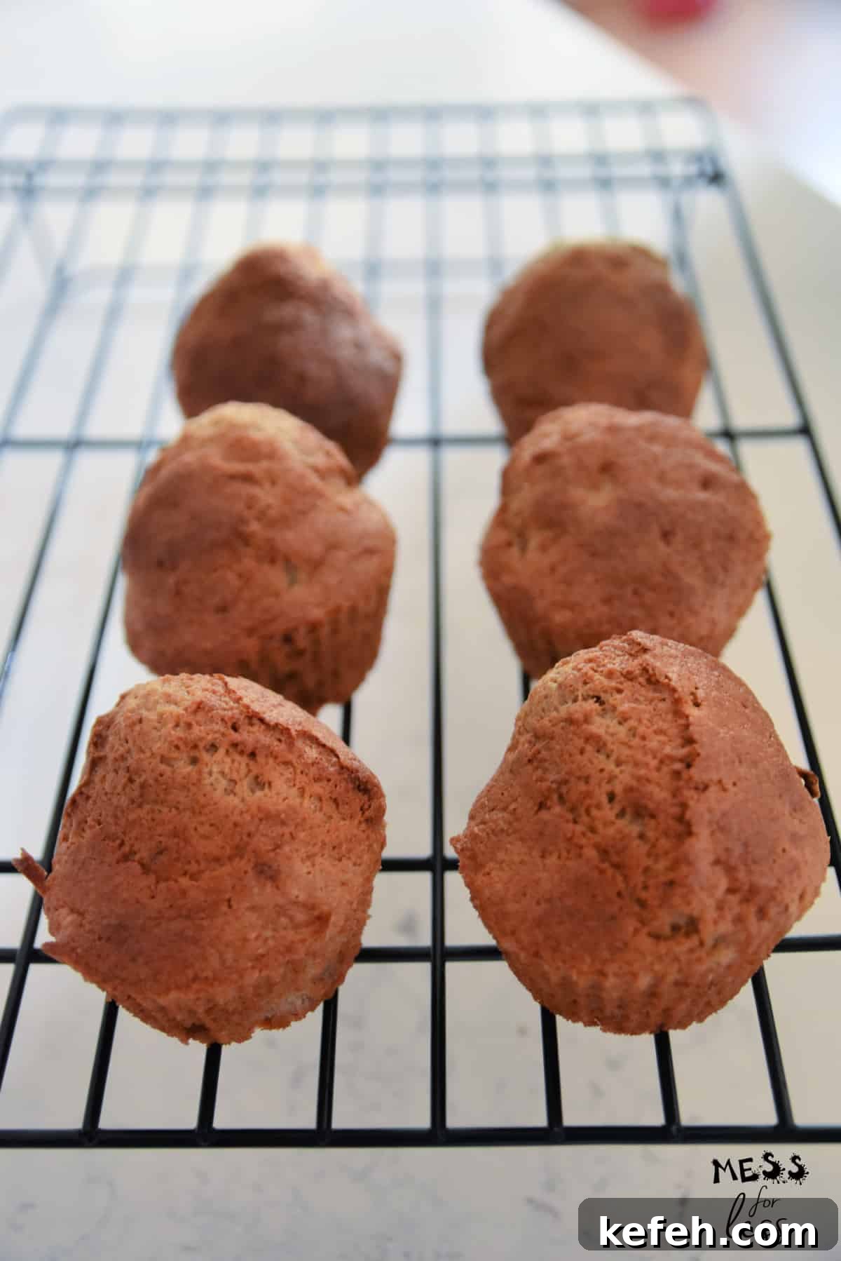 20 Delicious Applesauce Recipes for Baking, Snacks, and More 10 Air Fryer Banana Muffins