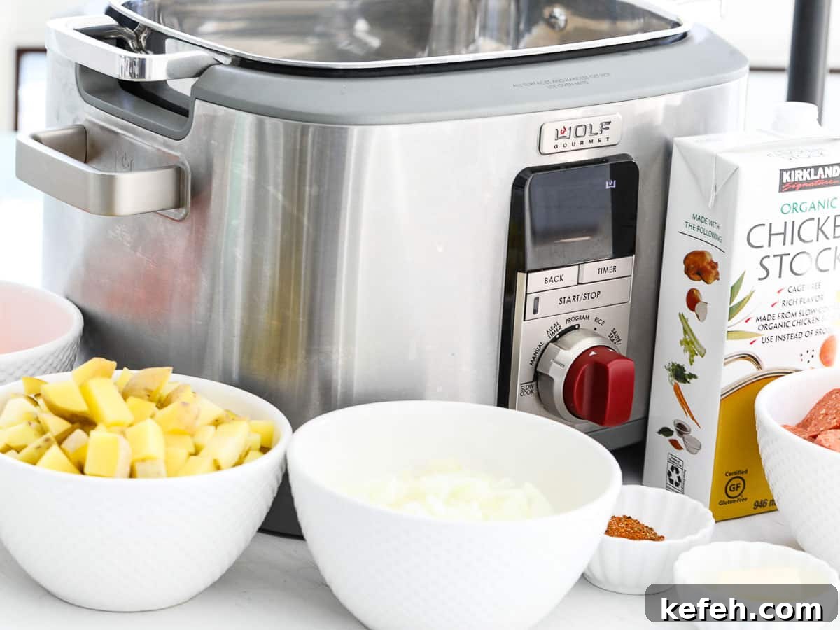 A slow cooker with ingredients to make soup.