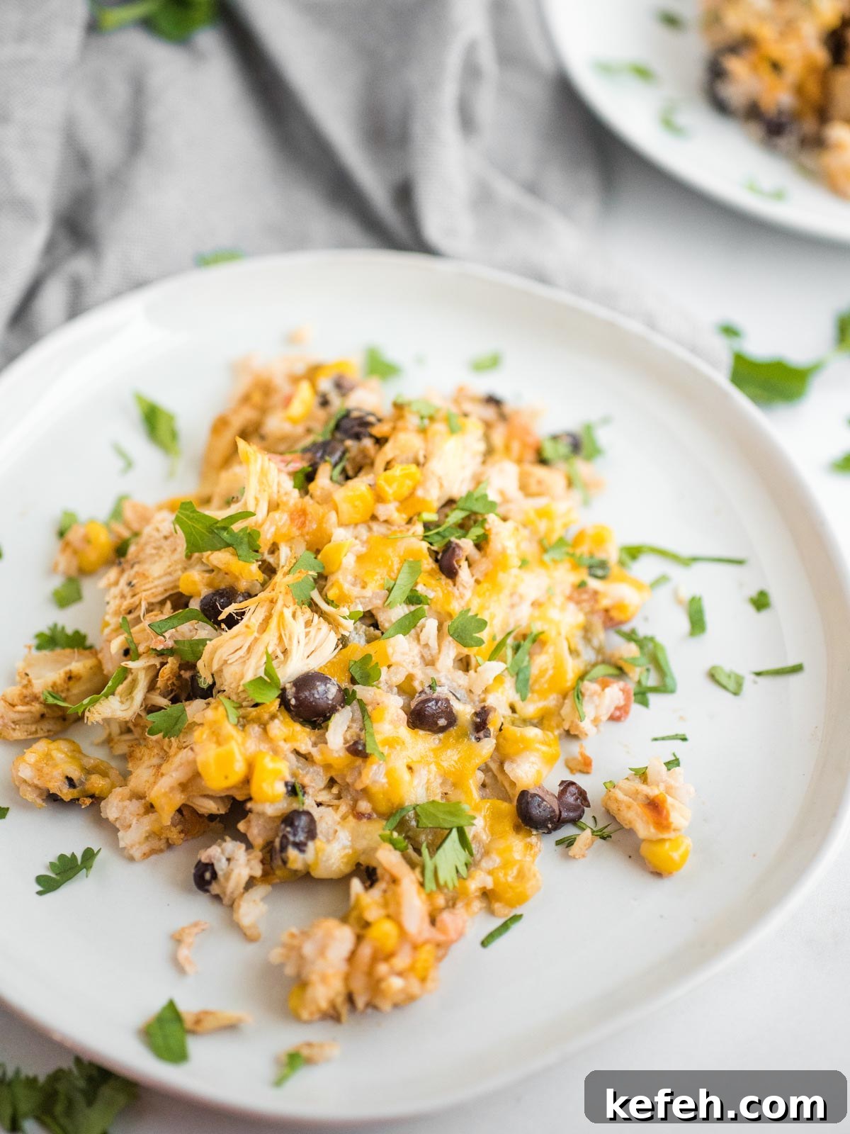 Tex Mex Chicken with Black Beans and Rice Casserole 2 Up close shot of Tex-Mex chicken casserole on a white plate.