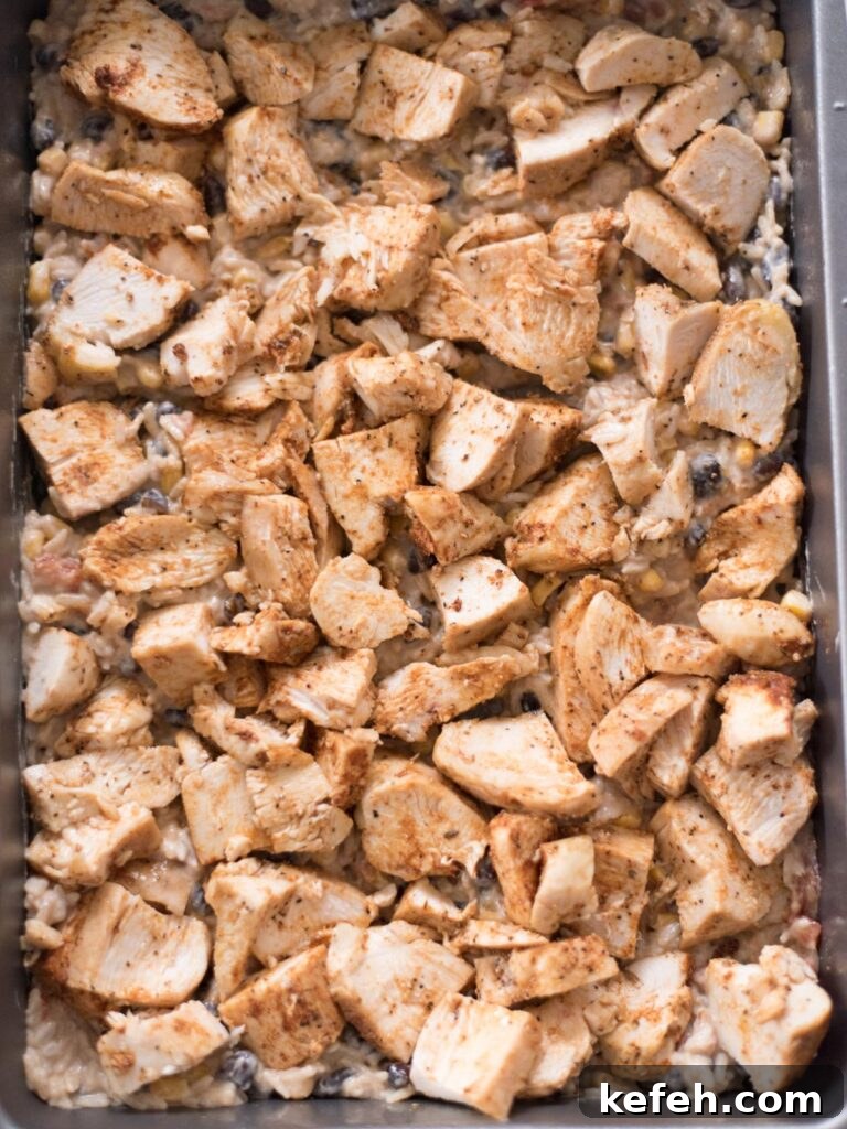 Tex Mex Chicken with Black Beans and Rice Casserole 12 Seasoned chicken added over the rice mixture in a baking dish.