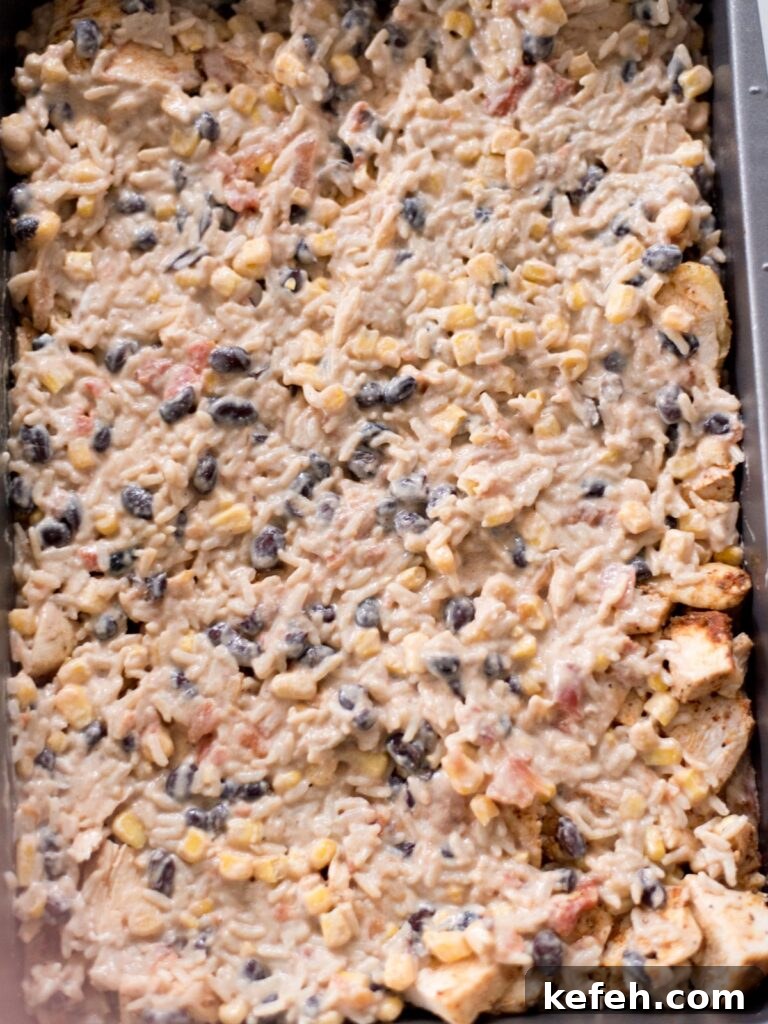 Tex Mex Chicken with Black Beans and Rice Casserole 13 Final layer of rice mixture added over the seasoned chicken.