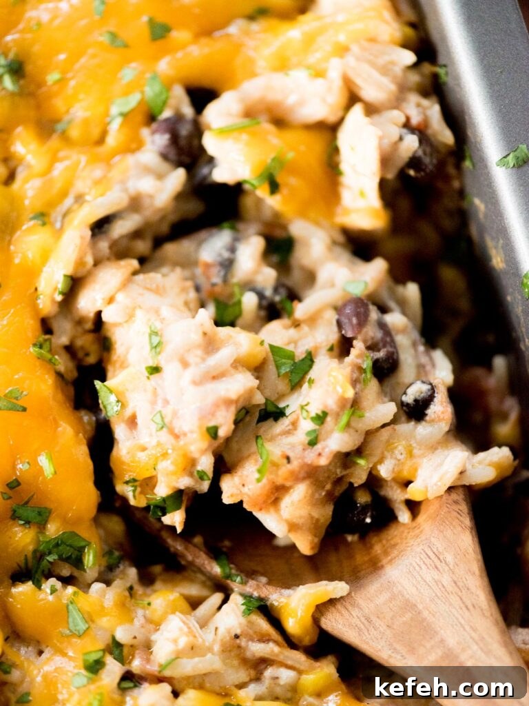Tex Mex Chicken with Black Beans and Rice Casserole 15 Up close view of a scoop of Tex-Mex chicken and rice.