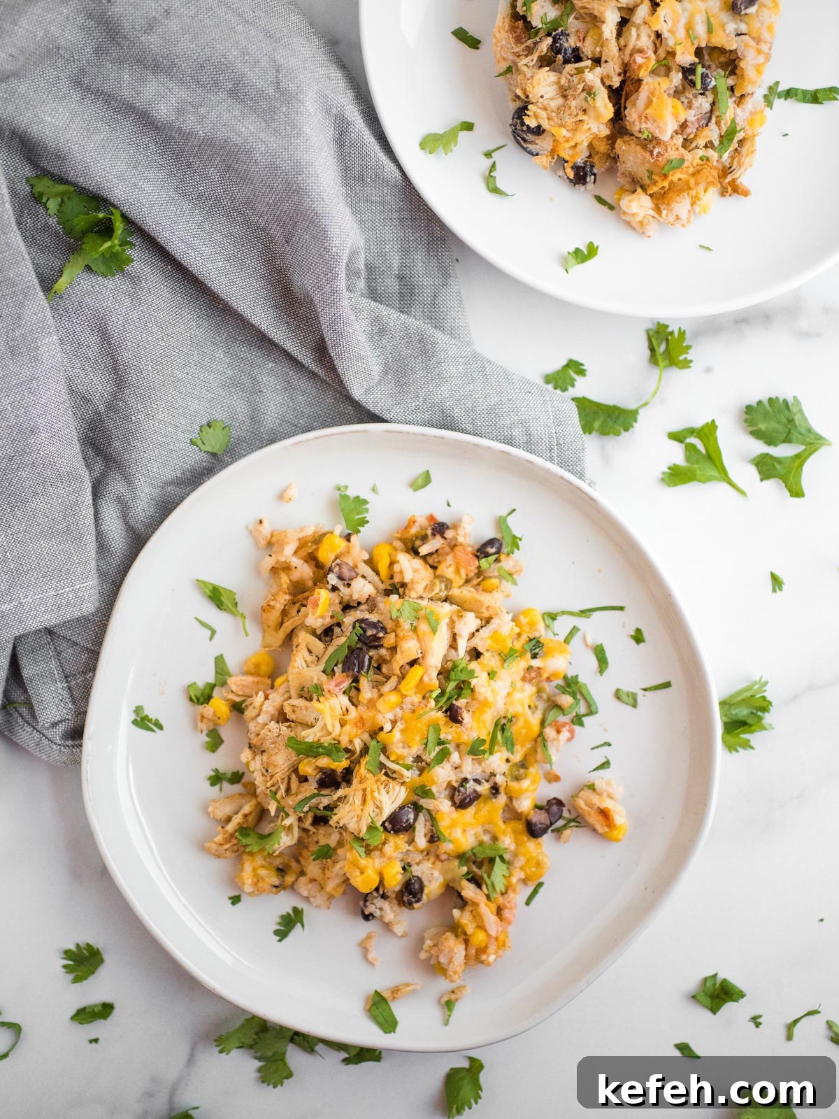 Tex Mex Chicken with Black Beans and Rice Casserole 16 A serving of Tex-Mex chicken black bean casserole on a white plate