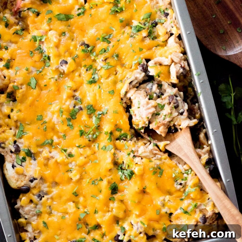 Tex Mex Chicken with Black Beans and Rice Casserole 3 Wooden spoon scooping up a helping of Tex-Mex Chicken with black beans from the baking dish.
