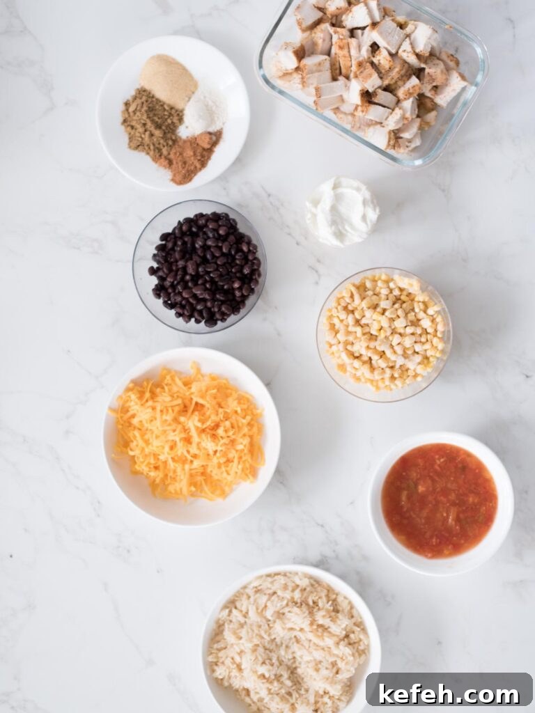 Tex Mex Chicken with Black Beans and Rice Casserole 4 Ingredients shown that are used to make Tex-Mex chicken with black beans.