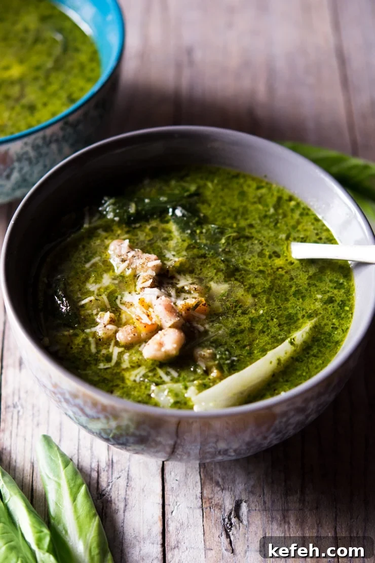 A bowl of green soup topped with beans and green vegetables A bowl of green soup topped with beans and green vegetables