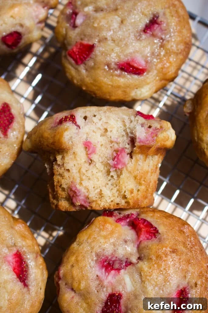 Light and Fluffy Strawberry Cottage Cheese Muffins 2 Strawberry cottage cheese muffins