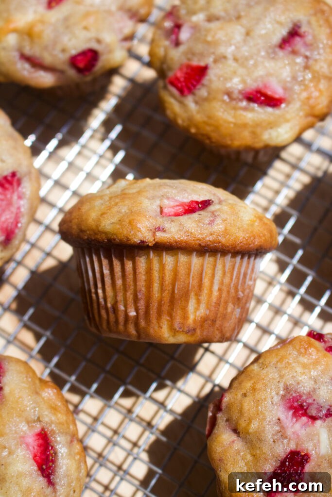 Light and Fluffy Strawberry Cottage Cheese Muffins 13 Muffins on a plate