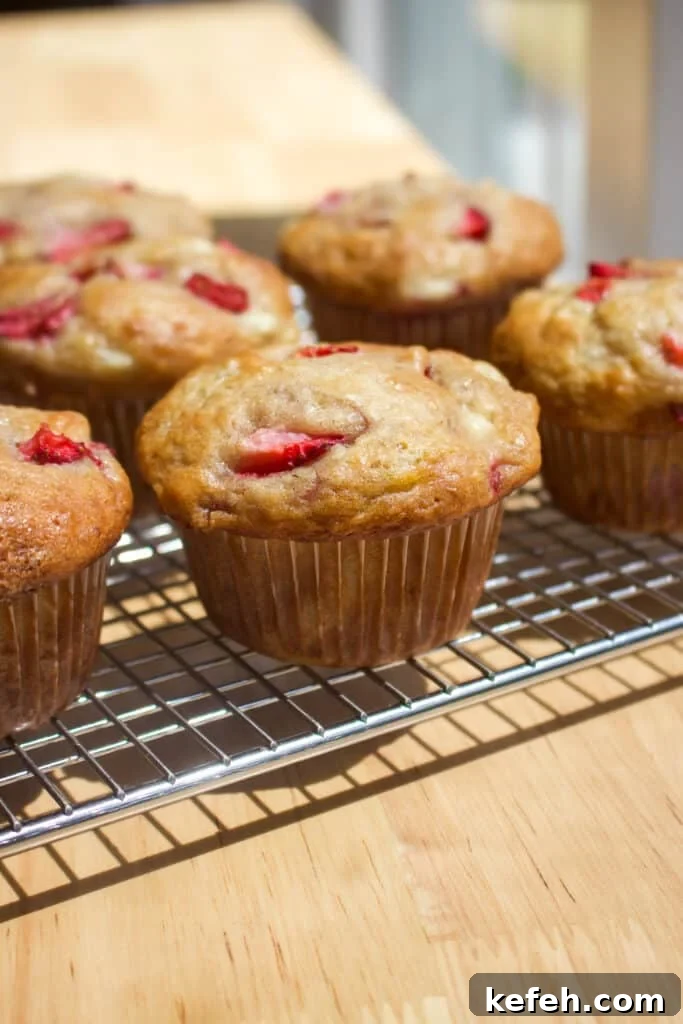 Light and Fluffy Strawberry Cottage Cheese Muffins 3 Muffins close-up
