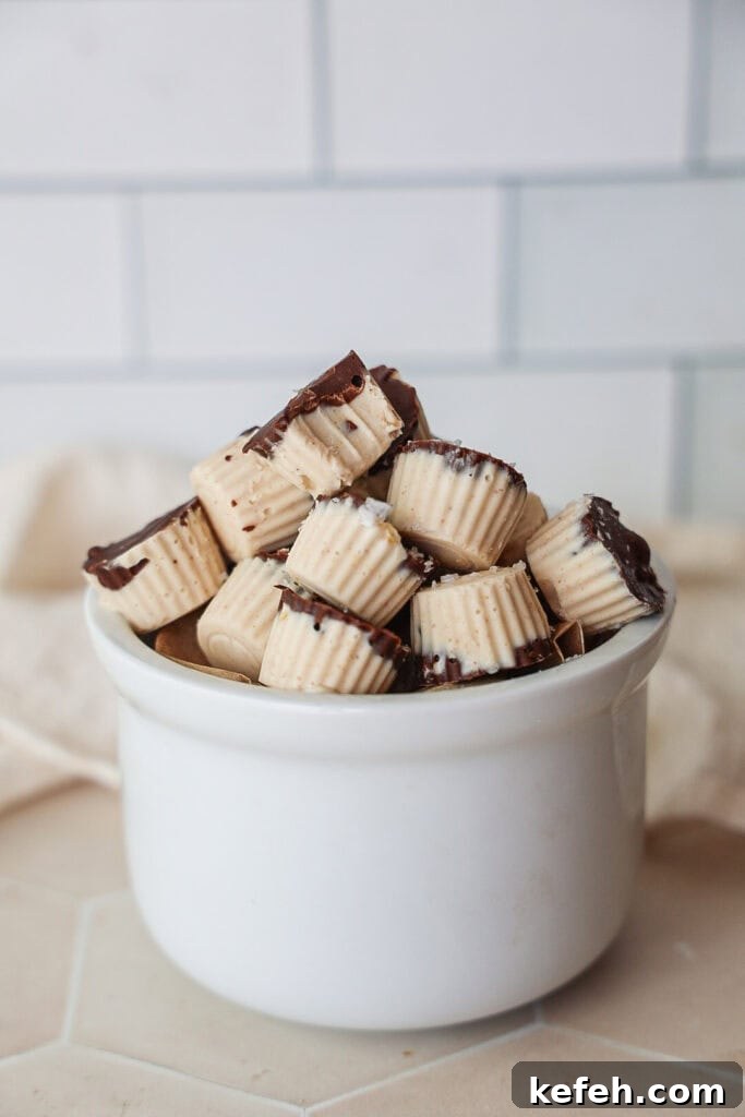 Frozen Yogurt Bites: Dairy-Free Option 2 Frozen yogurt bites