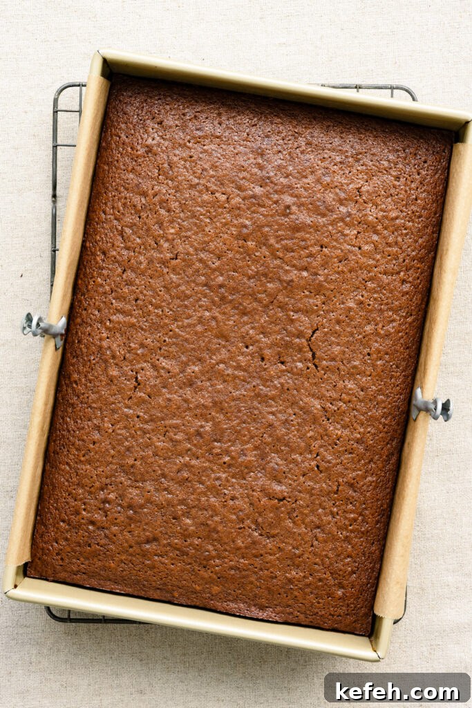 Classic Moist Gingerbread Cake Recipe 10 Overhead of a baked gingerbread cake in a 9x13 inch baking pan on a cooling rack.